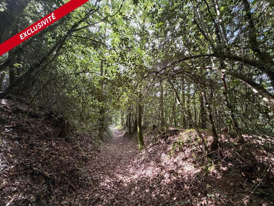 Helårsgrund i Molac, Morbihan - foto 1