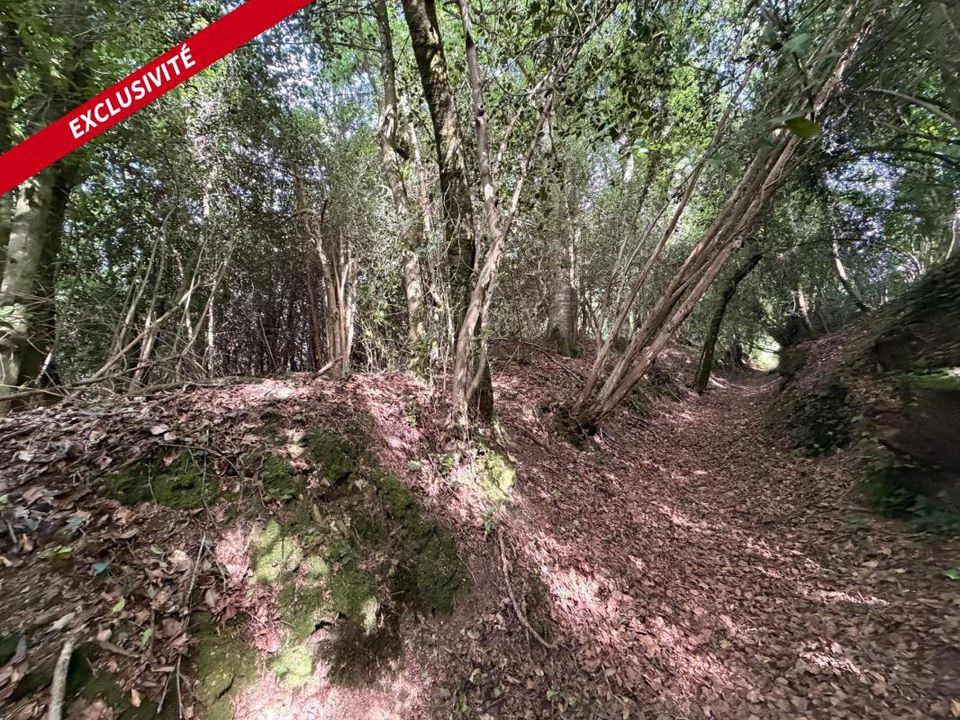 Helårsgrund i Molac, Morbihan - foto 2