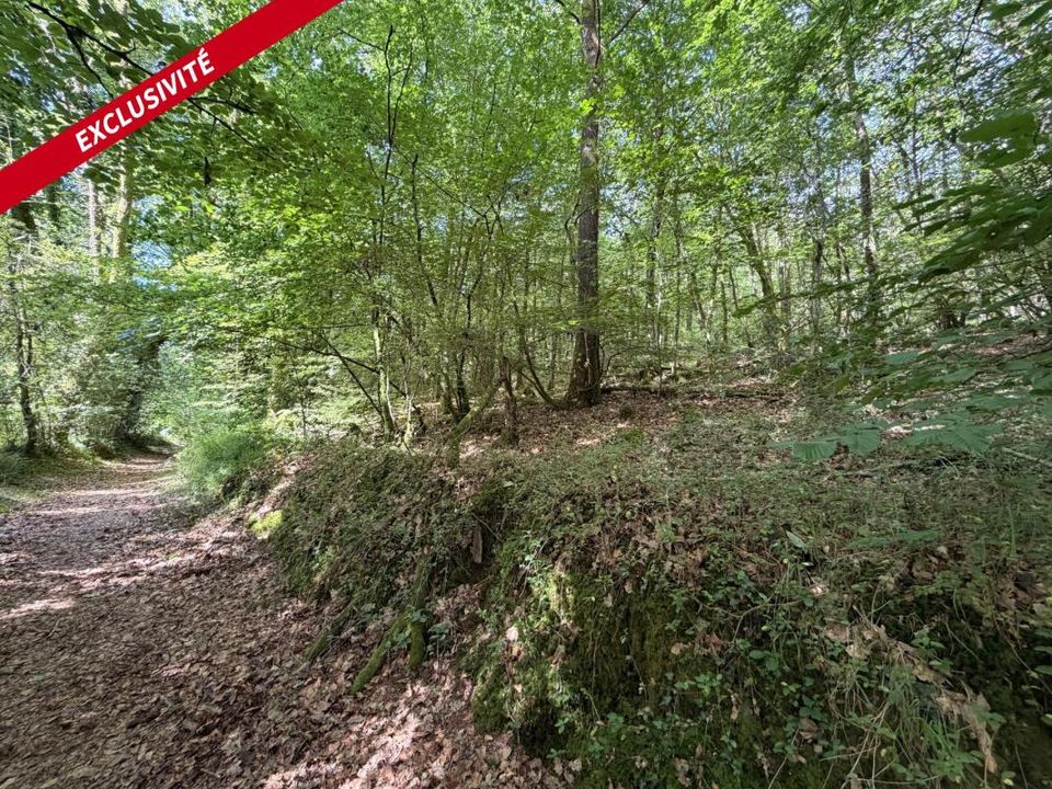 Helårsgrund i Molac, Morbihan - foto 3