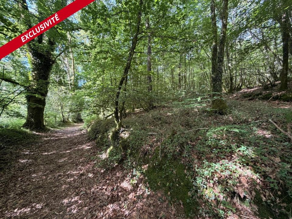 Helårsgrund i Molac, Morbihan - foto 4