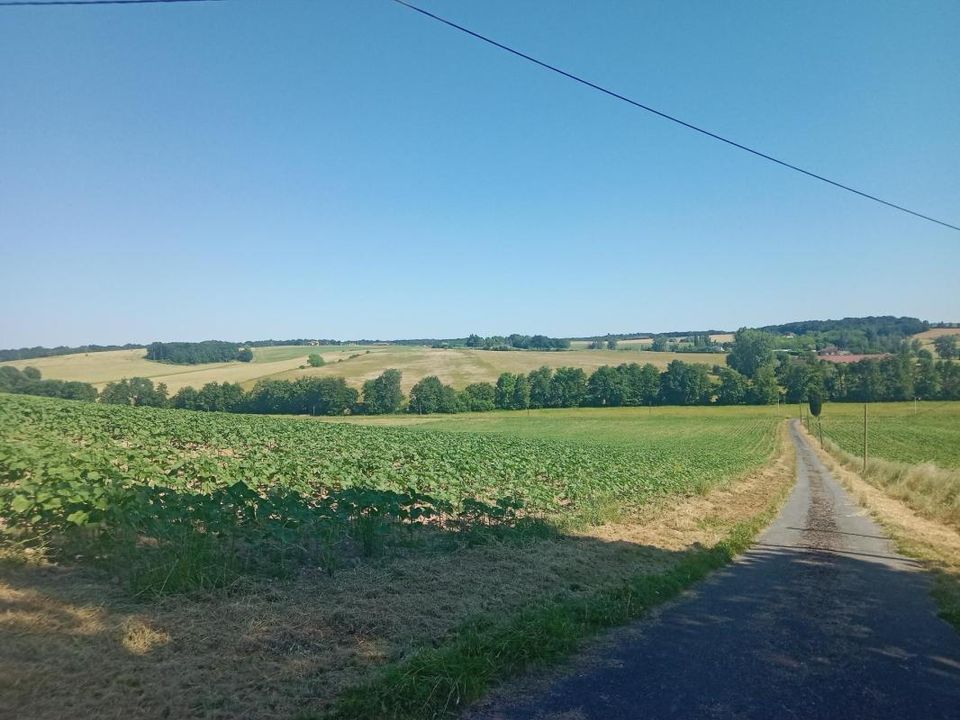 Farm hus i Saint-Vivien-de-Monsegur, Gironde - foto 1