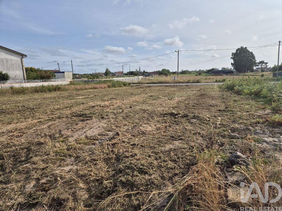 Terra a Vagos, Aveiro - foto 2