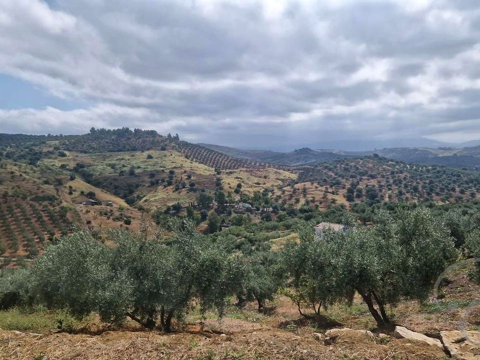 Landhuis in Comares, Malaga - foto 2