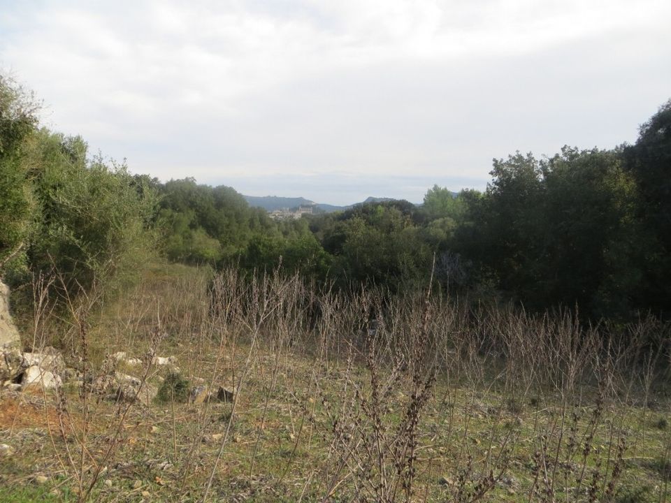 Helårsgrund i Arta, Mallorca - foto 1