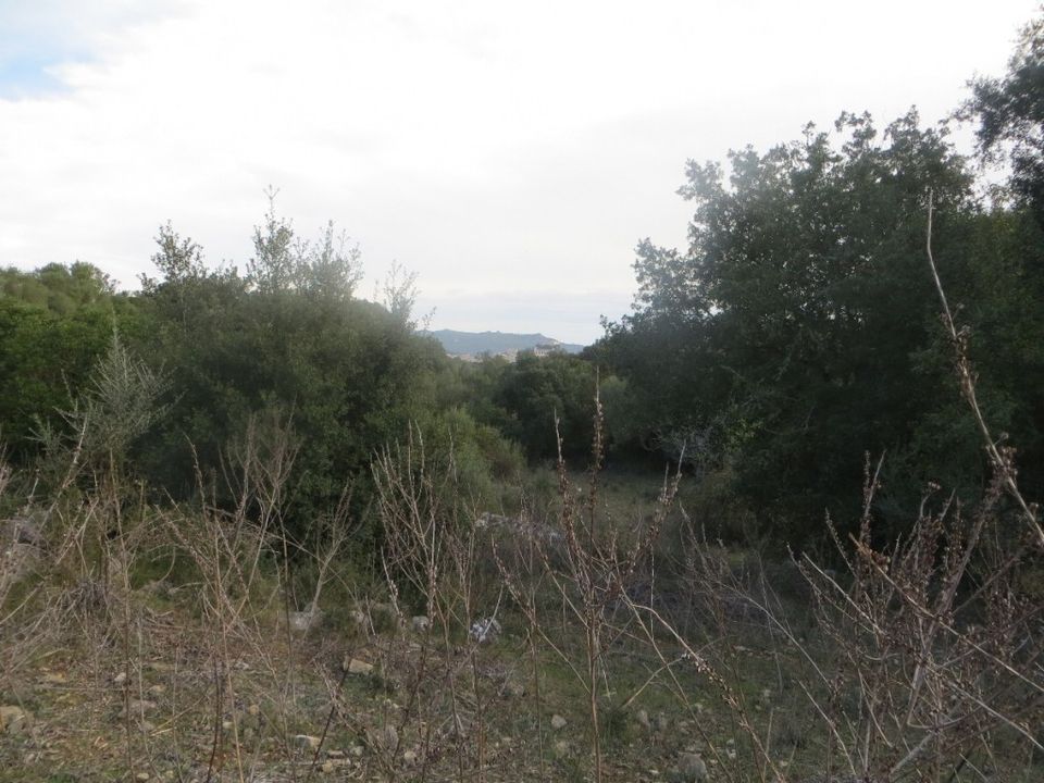 Helårsgrund i Arta, Mallorca - foto 2