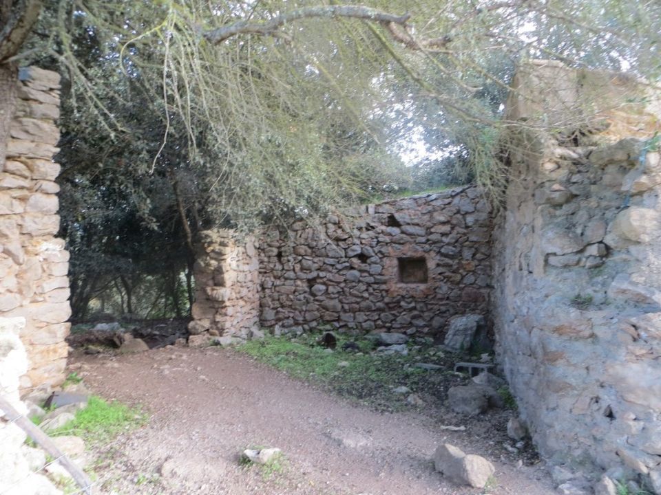 Helårsgrund i Arta, Mallorca - foto 3