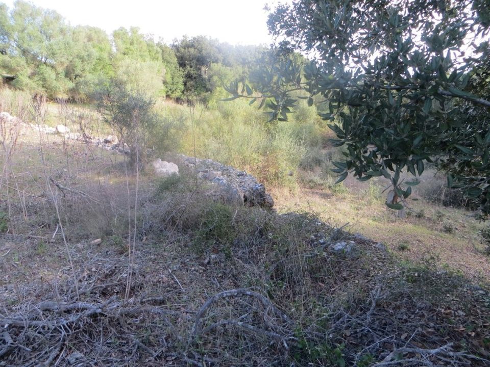 Helårsgrund i Arta, Mallorca - foto 4