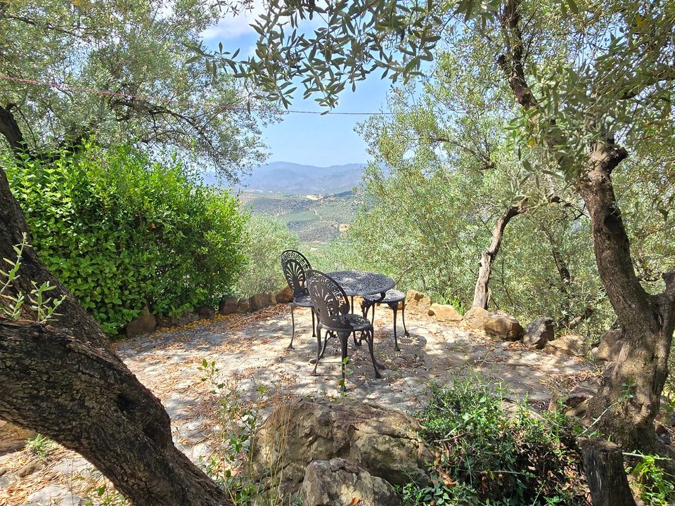 Villa in Periana, Malaga - foto 4