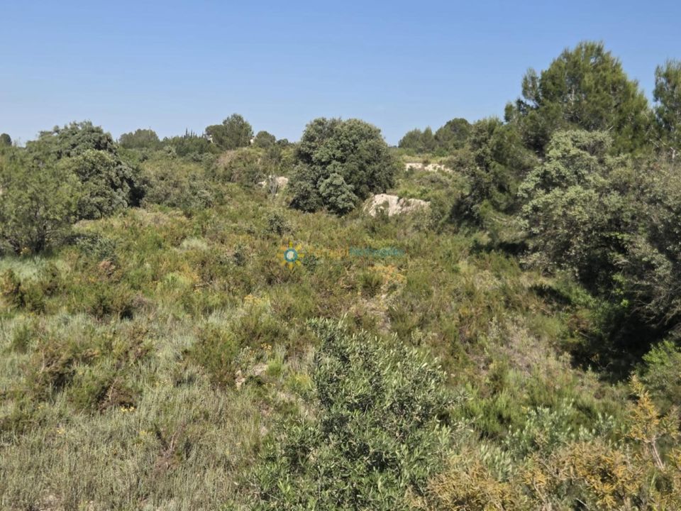 Tomt i El Palomar, Valencia - bilde 2