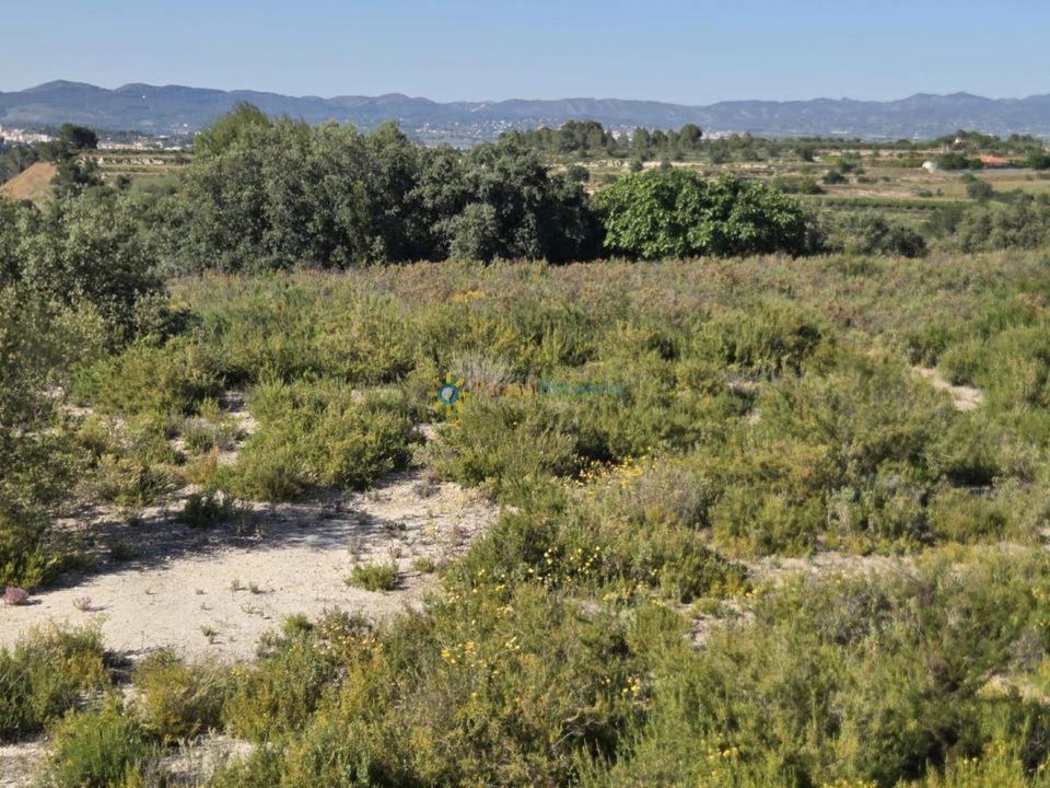 Tomt i El Palomar, Valencia - bilde 1