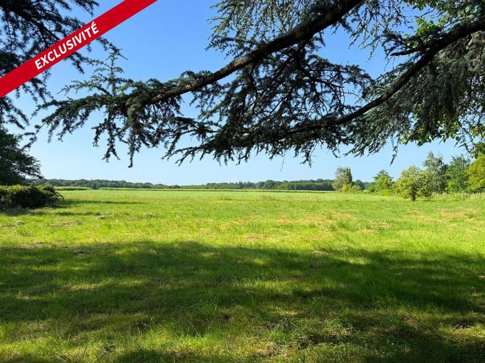 Villa i Villebougis, Yonne - foto 5