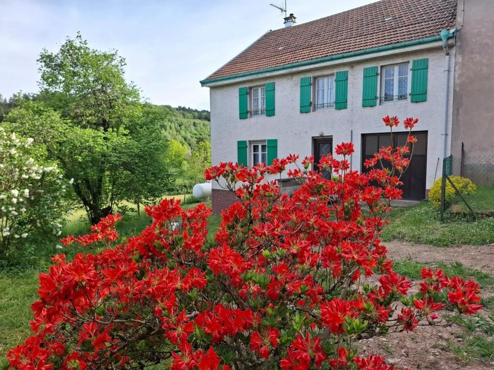 Casa de campo en Moyenmoutier, Vosges - foto 1