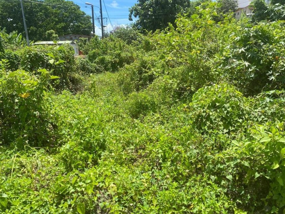 Terra em Les Abymes, Guadeloupe - foto 1
