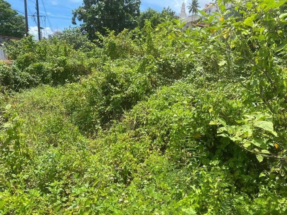 Terra em Les Abymes, Guadeloupe - foto 2