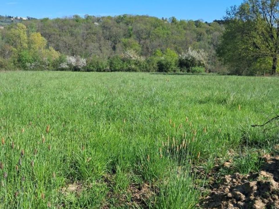 Terreno en Cusset, Allier - foto 1