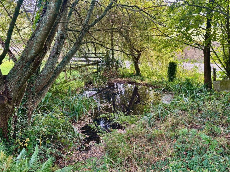 Landejendom i Tirepied-sur-See, Manche - foto 3