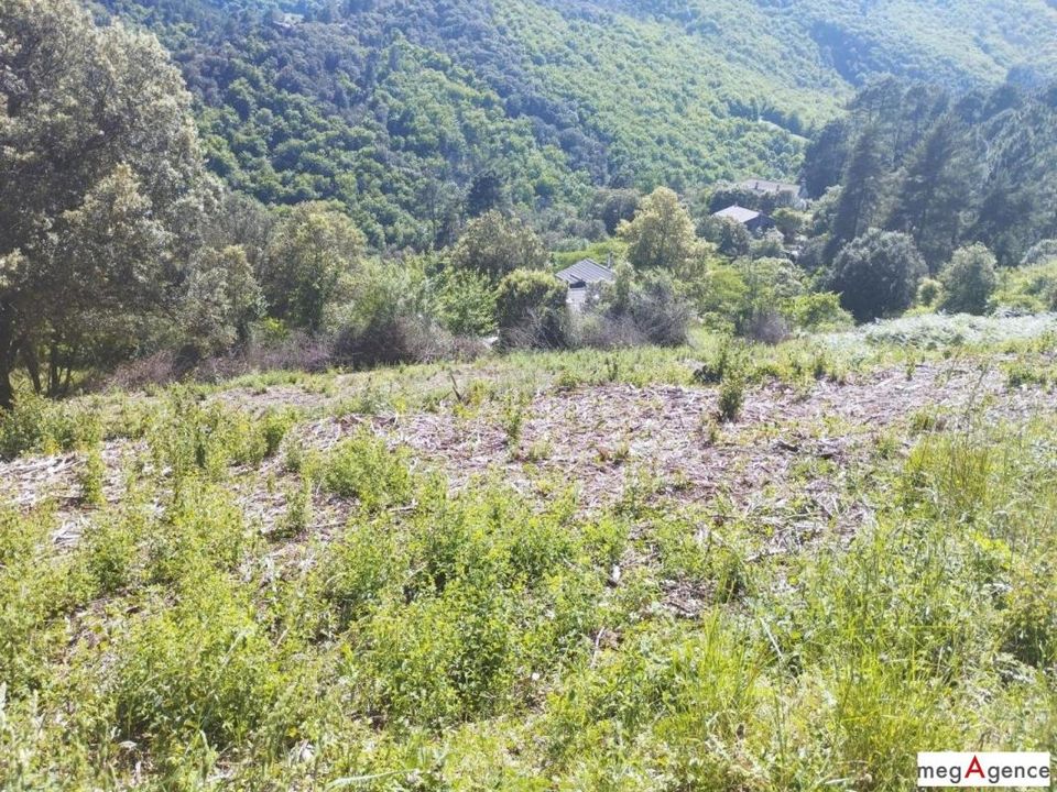Helårsgrund i Sainte-Croix-Vallee-Francaise, Lozere - foto 3