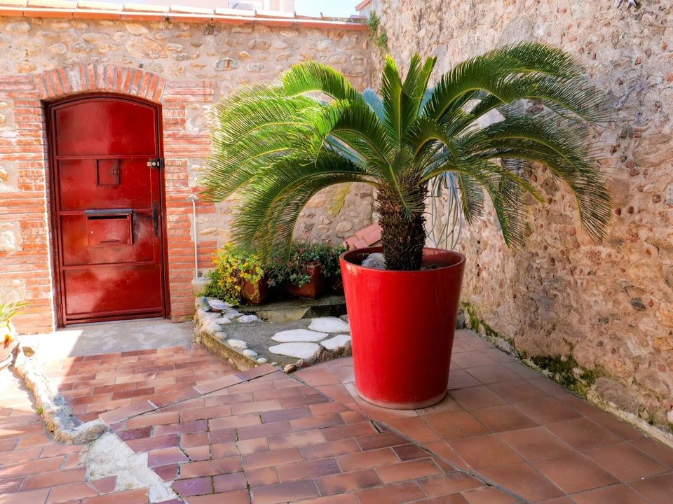Villa em Argeles-sur-Mer, Pyrenees-Orientales - foto 3