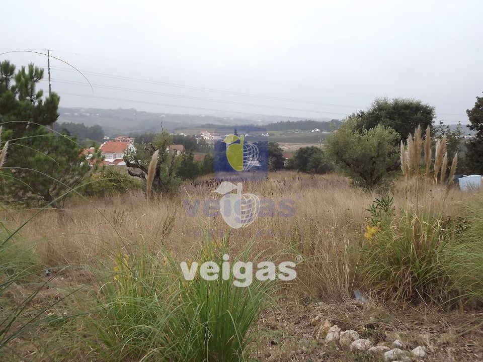 Helårsgrund i Caldas da Rainha, Leiria - foto 4