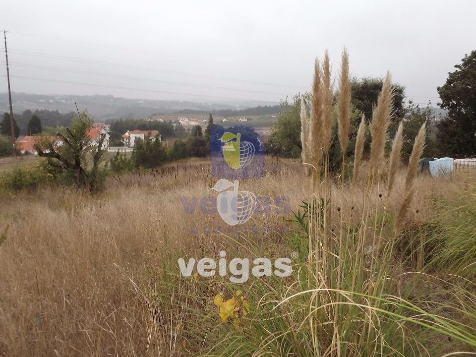 Helårsgrund i Caldas da Rainha, Leiria - foto 5