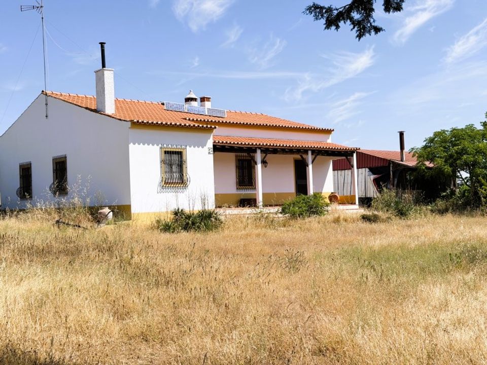 Farm i Vila Nova de Sao Bento e Vale de Vargo, Beja - foto 1