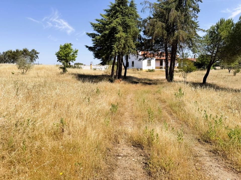 Farm i Vila Nova de Sao Bento e Vale de Vargo, Beja - foto 3