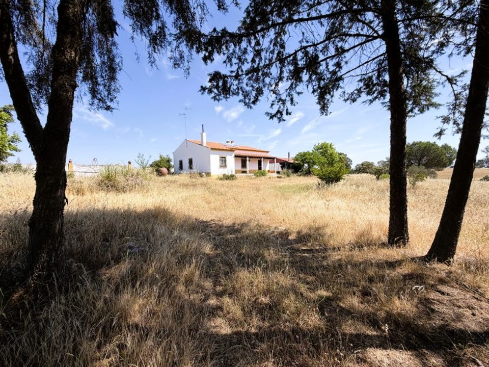 Farm i Vila Nova de Sao Bento e Vale de Vargo, Beja - foto 4