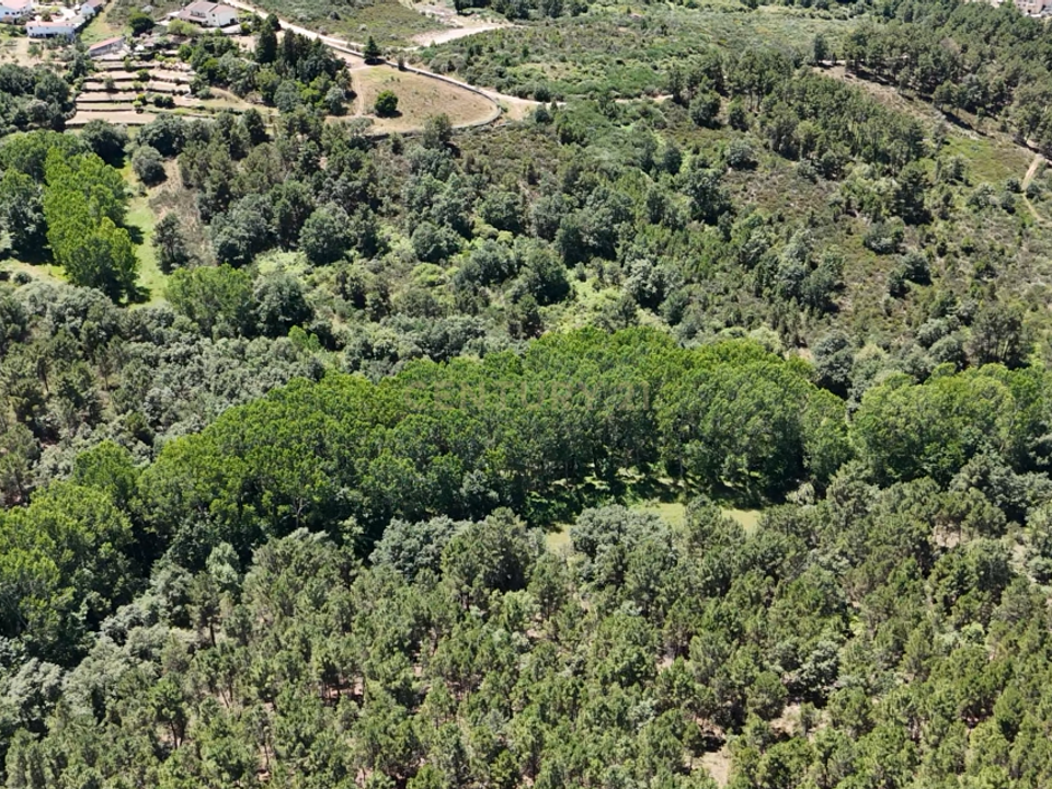 Helårsgrund i Chaves, Vila Real - foto 4
