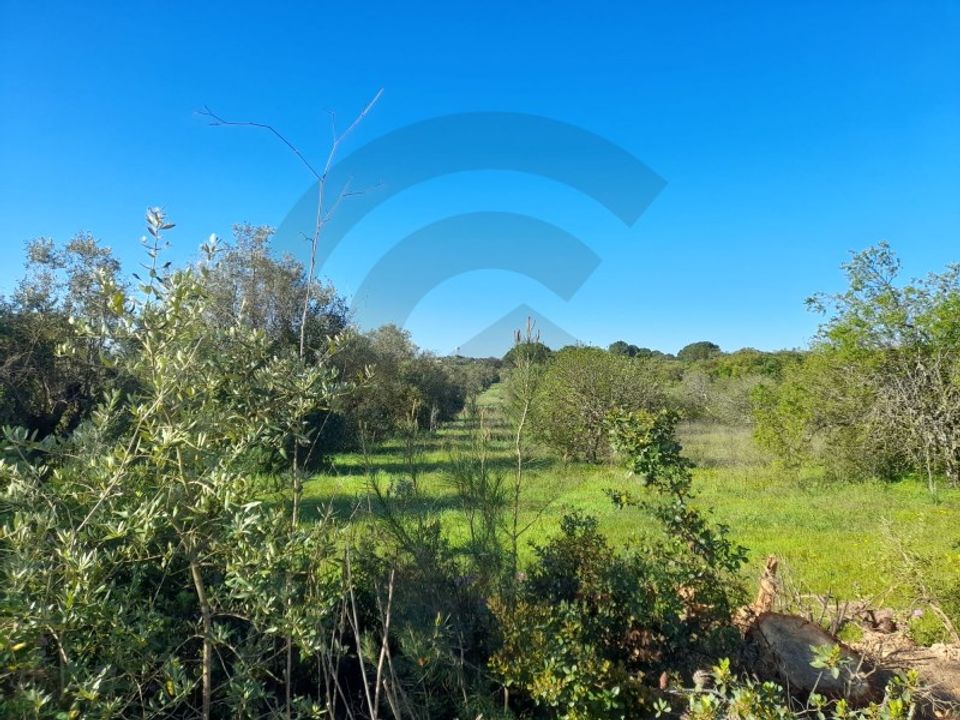 Helårsgrund i Olaia e Paco, Santarem - foto 1