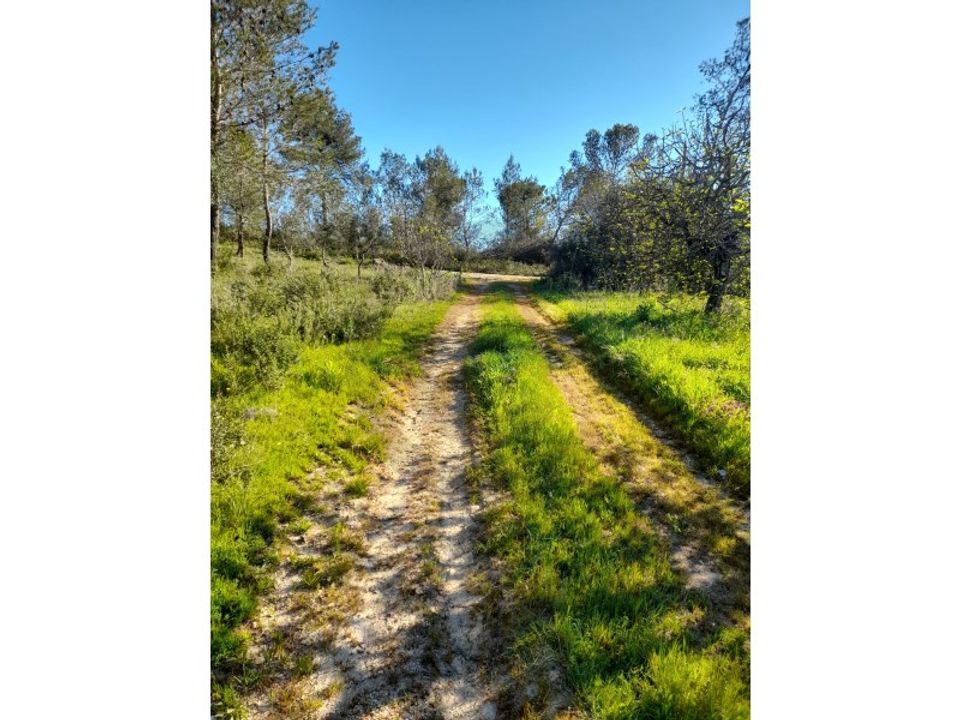 Helårsgrund i Olaia e Paco, Santarem - foto 3