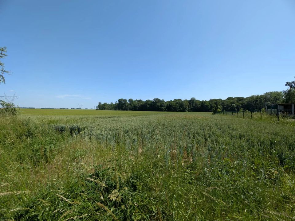 Terra a La Ferté-sous-Jouarre, Seine-et-Marne - foto 1