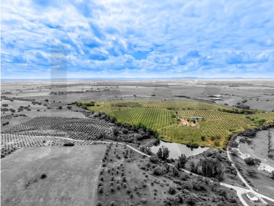 Granja a Fronteira, Portalegre - foto 2