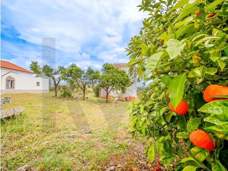 Granja a Fronteira, Portalegre - foto 4