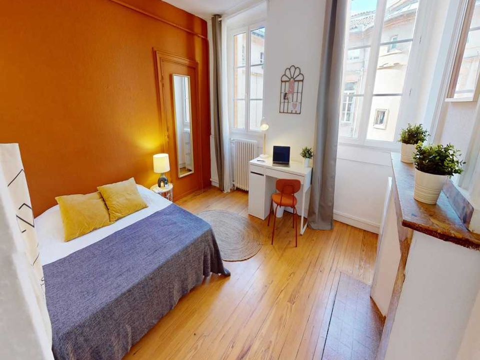 Apartment in Toulouse, Haute-Garonne - photo 1