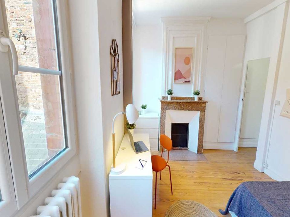 Apartment in Toulouse, Haute-Garonne - photo 4