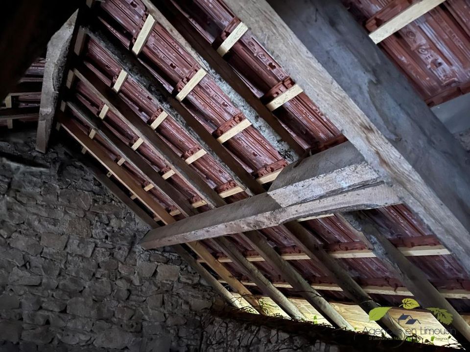 Farm hus i Sauviat-sur-Vige, Haute-Vienne - foto 4