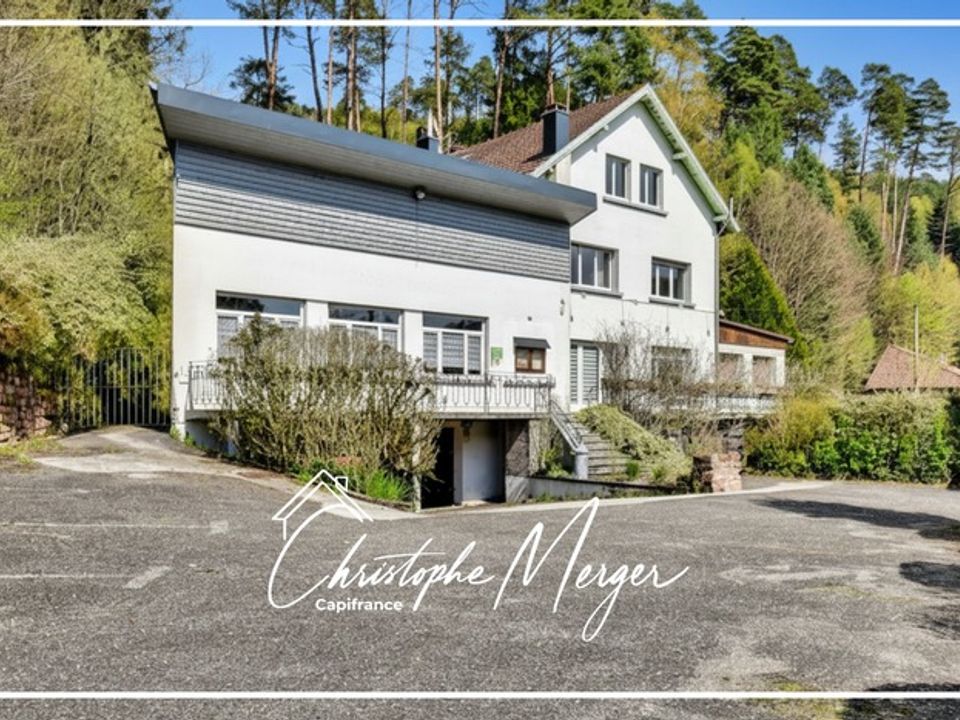 Villa i Abreschviller, Moselle - foto 1