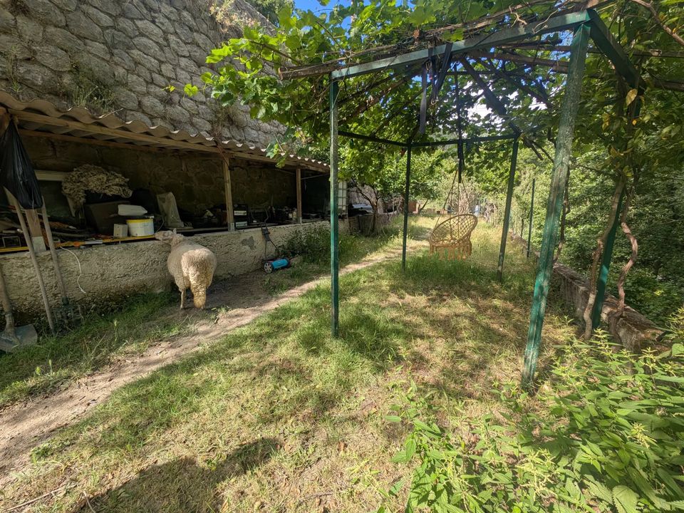 Terra a Peillon, Alpes-Maritimes - foto 3