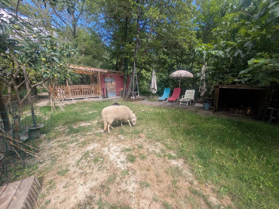 Terra a Peillon, Alpes-Maritimes - foto 5