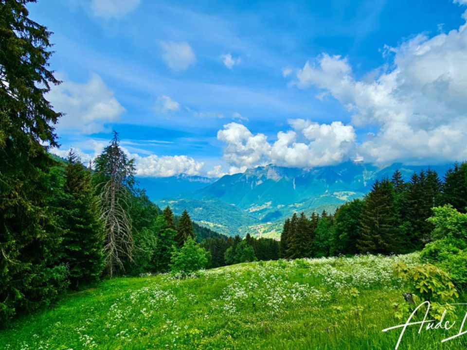 Villa i Manigod, Haute-Savoie - foto 5