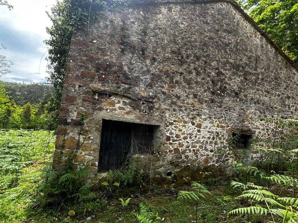 Landhaus in Bermeo, Vizcaya - Foto 3