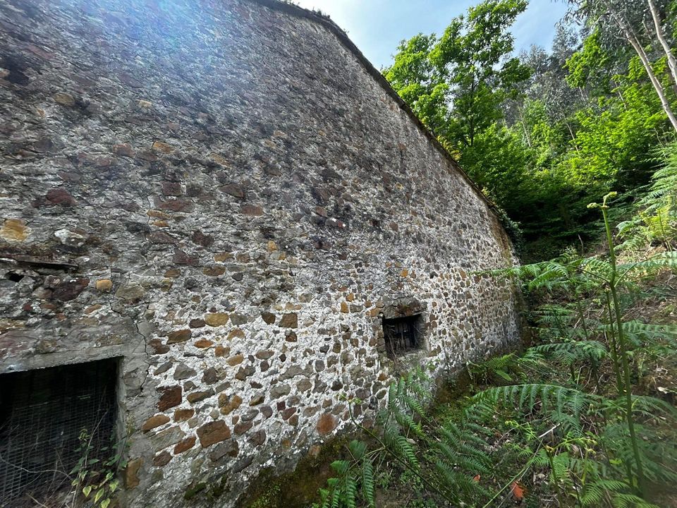 Landhaus in Bermeo, Vizcaya - Foto 4