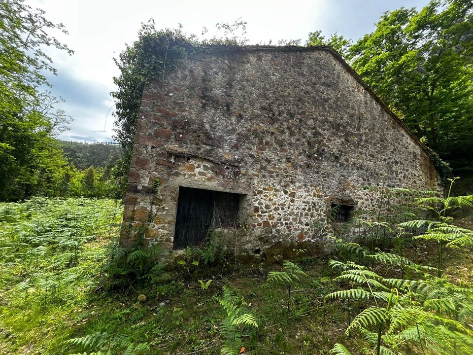 Landhaus in Bermeo, Vizcaya - Foto 5