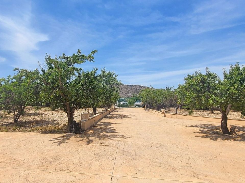 Landejendom i Hondon, Alicante - foto 5