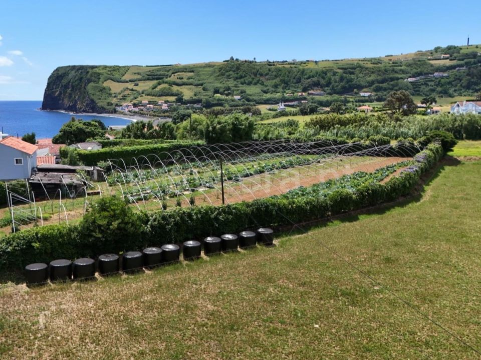 Terra em Horta, Faial - foto 2