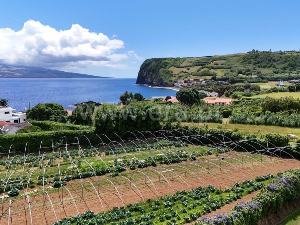 Terra em Horta, Faial - foto 3