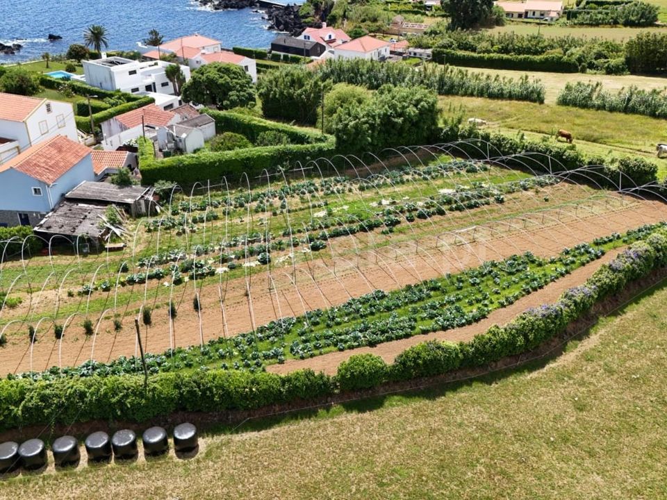 Terra em Horta, Faial - foto 4