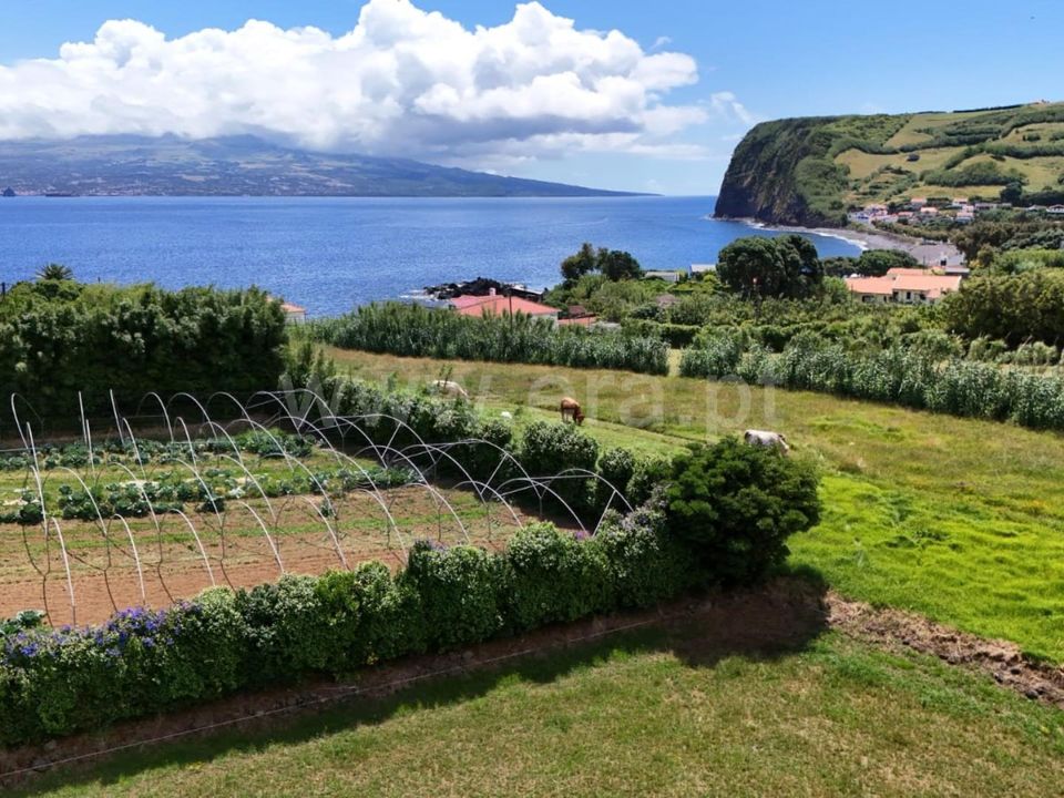Terra em Horta, Faial - foto 5