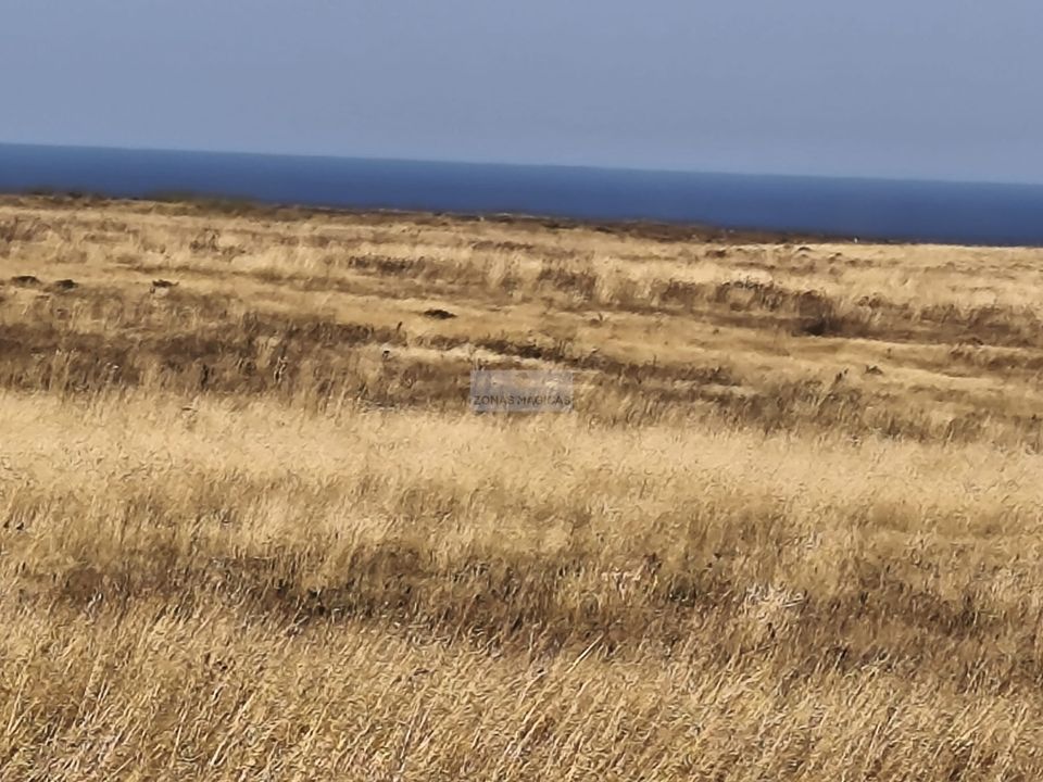 Terra a Sagres, Faro - foto 3