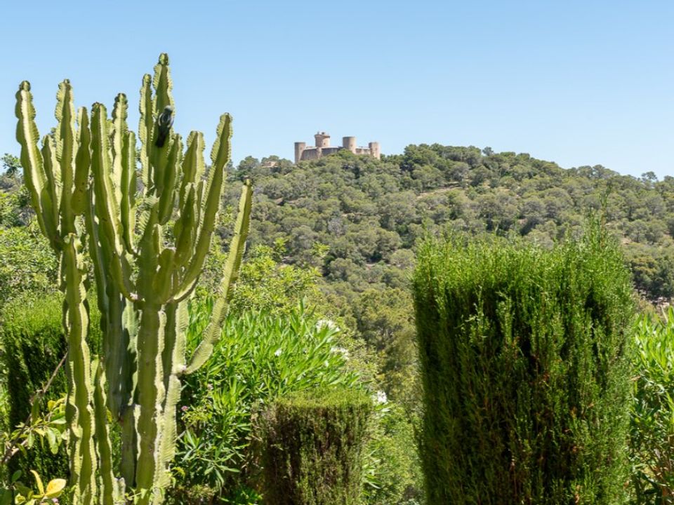 Lejlighed i La Bonanova, Mallorca - foto 3